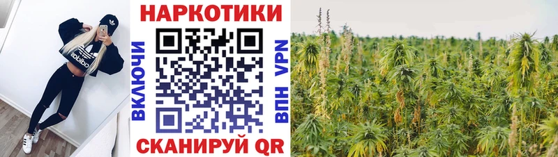 Меф Порхов