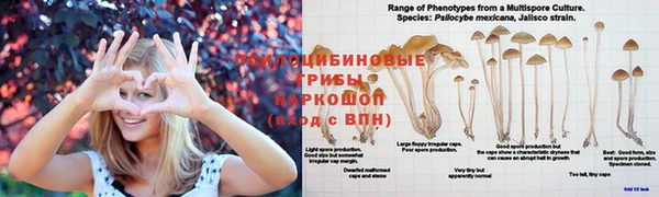 мескалин Пролетарск
