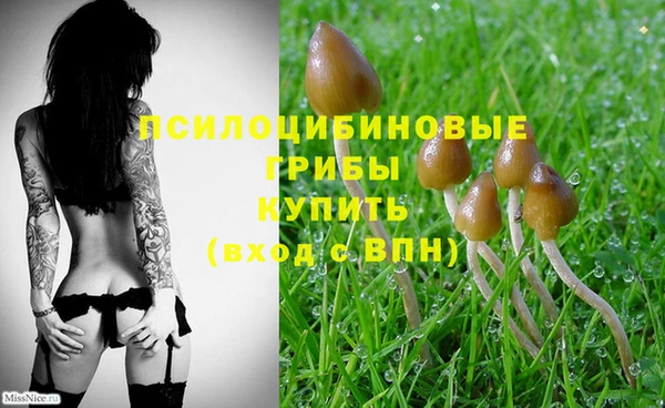 MDMA Аркадак